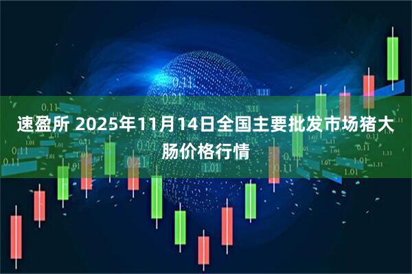 速盈所 2025年11月14日全国主要批发市场猪大肠价格行情