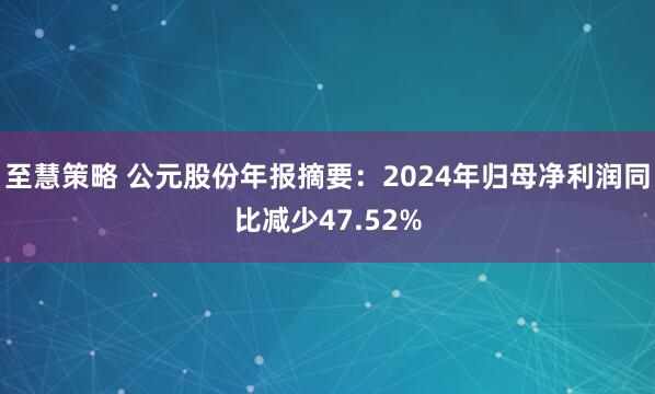 至慧策略 公元股份年报摘要:2024年归母净利润同比减少47.52%