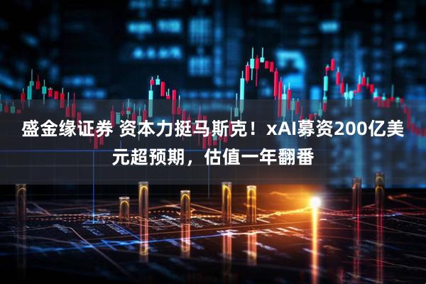 盛金缘证券 资本力挺马斯克！xAI募资200亿美元超预期，估值一年翻番