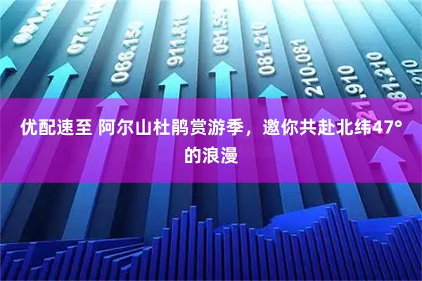 优配速至 阿尔山杜鹃赏游季，邀你共赴北纬47°的浪漫